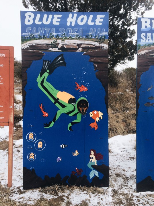 Processed with VSCOcam with a6 preset