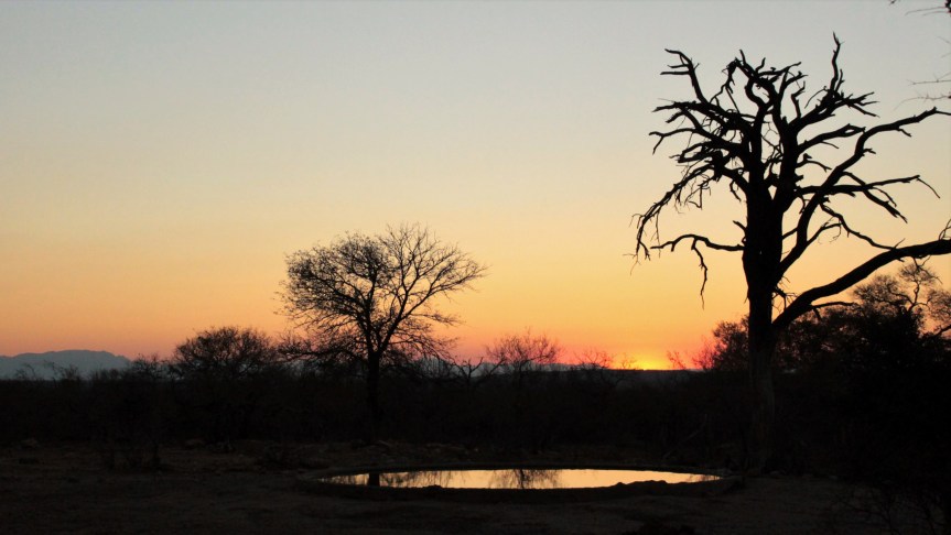 IMG_0482 (2) (Custom)