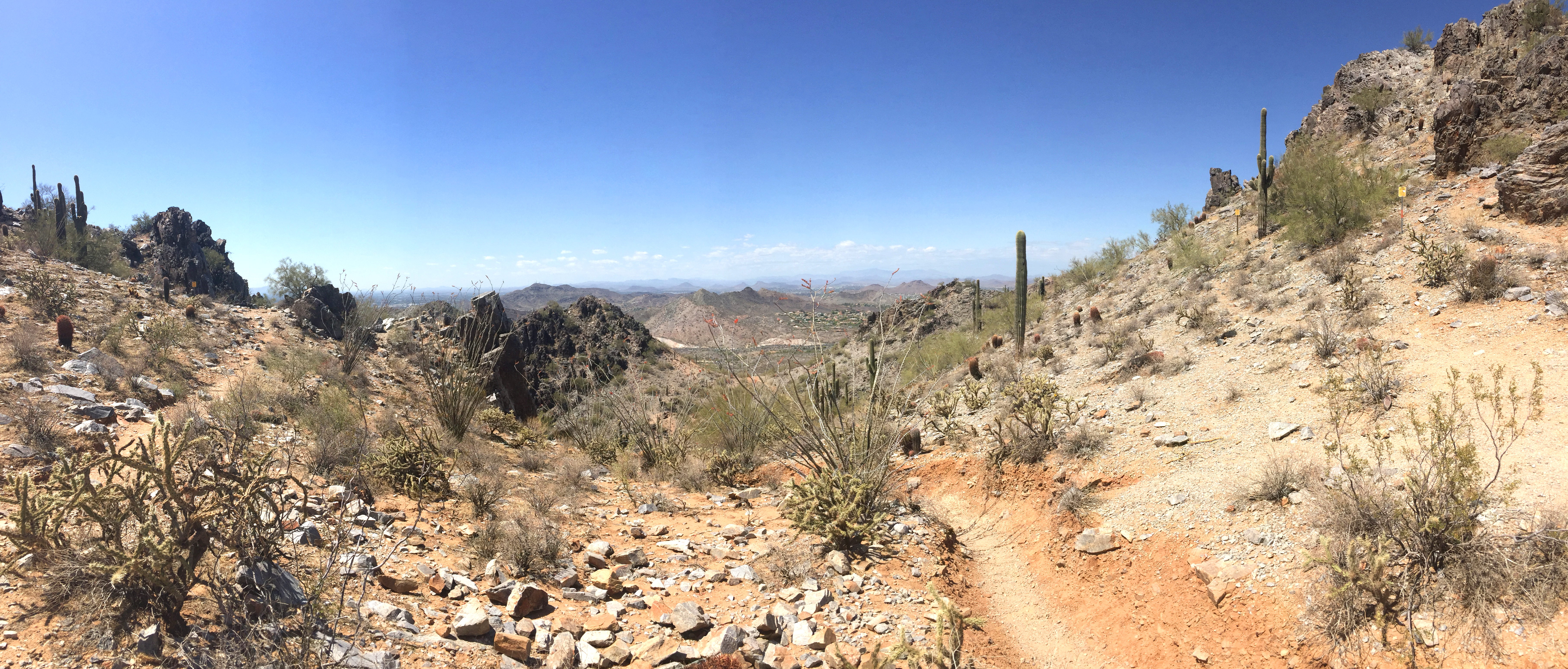 18-04-20 13-55-36 8754_v1