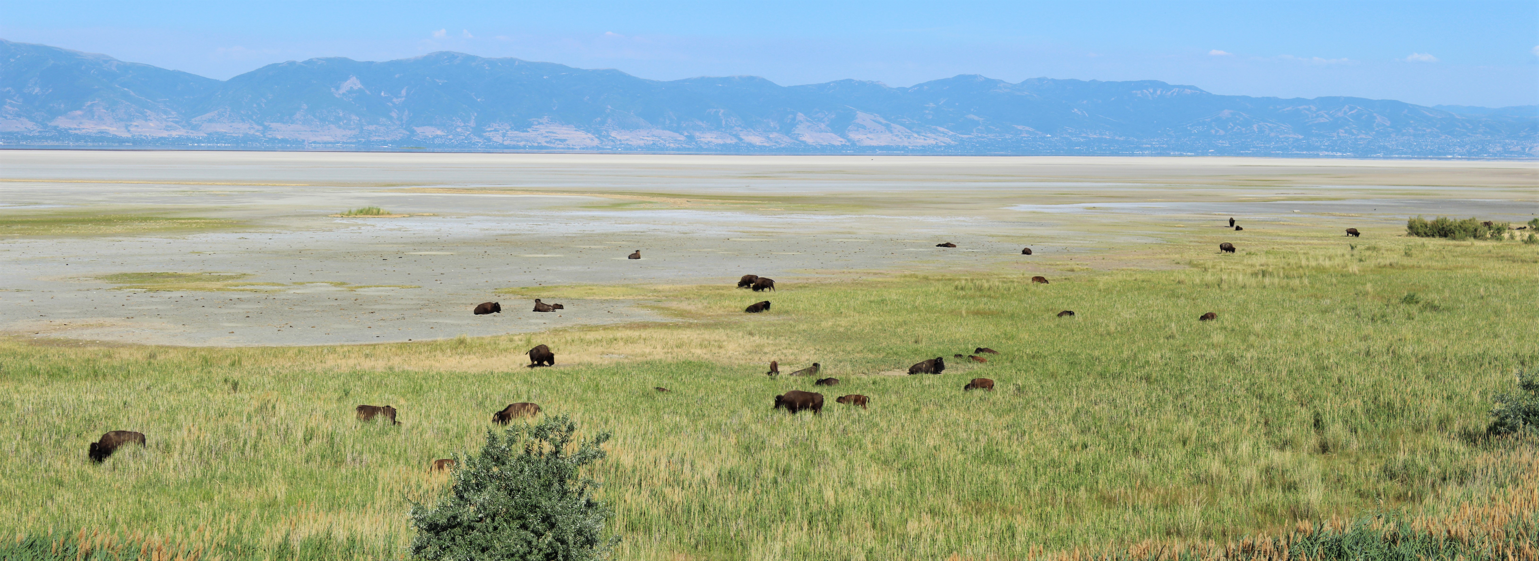 IMG_4687 - IMG_4688 (2)