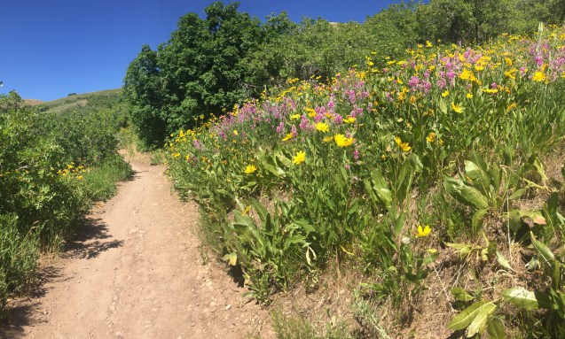 18-06-12 16-10-28 8969