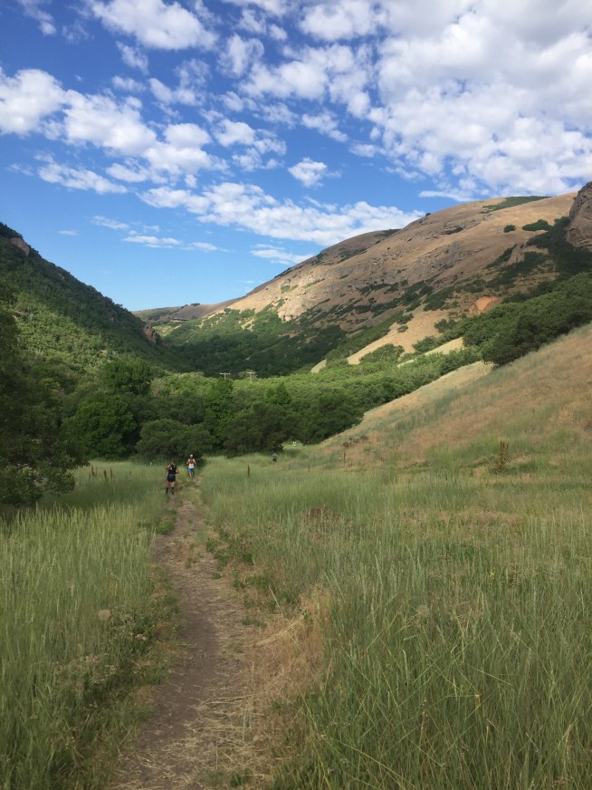 18-06-23 08-58-22 9098