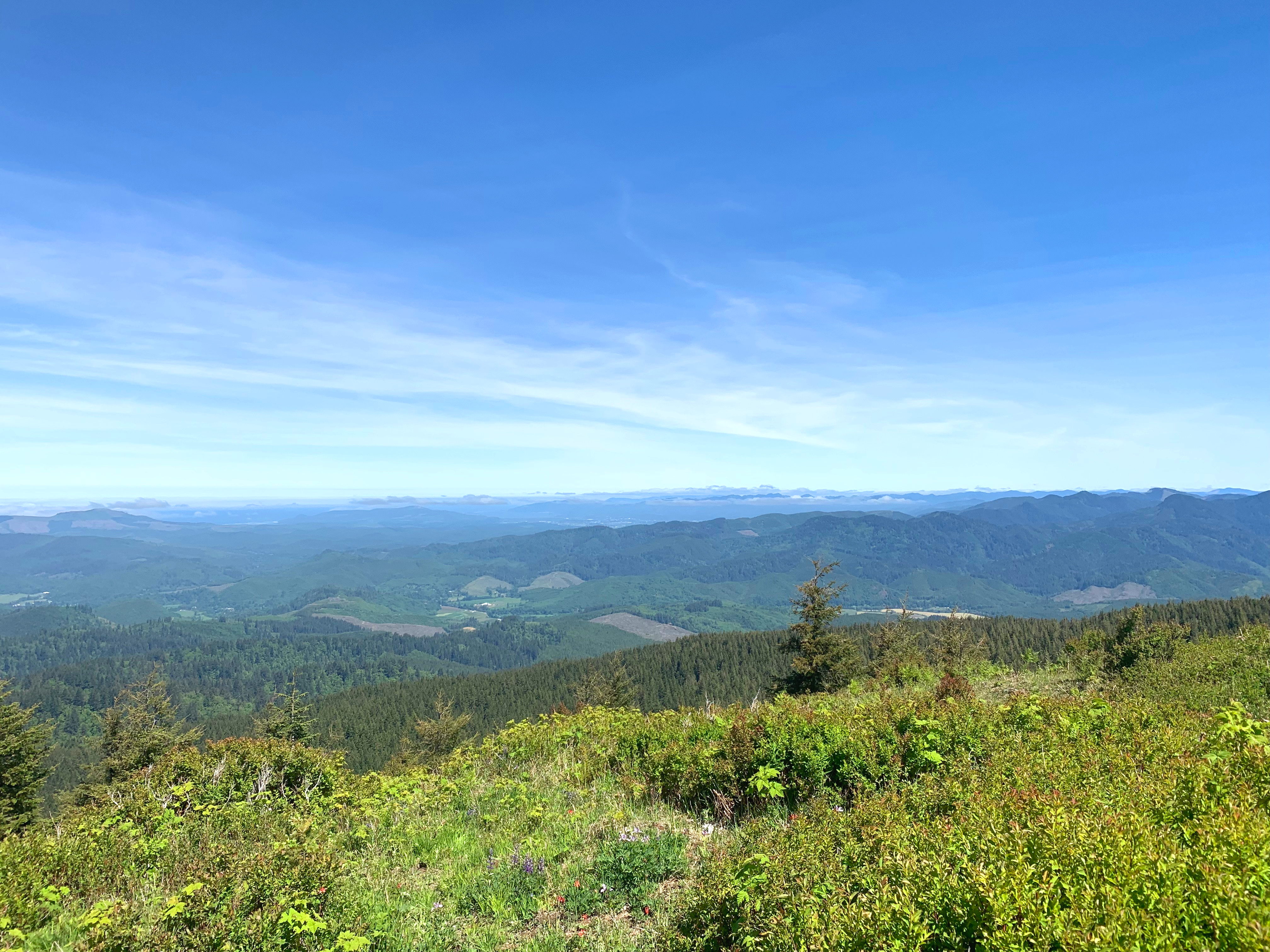 19-06-01 11-17-24 0755_v1