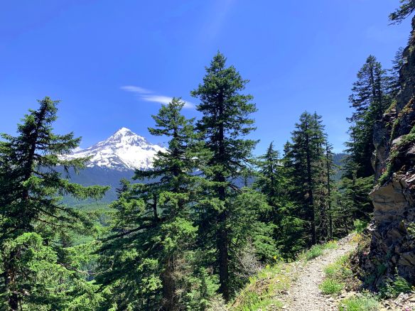 19-06-22 13-43-07 0900_v1